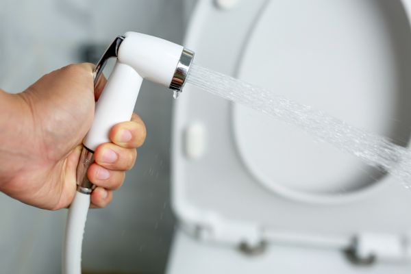Bidet Installation in Hudson