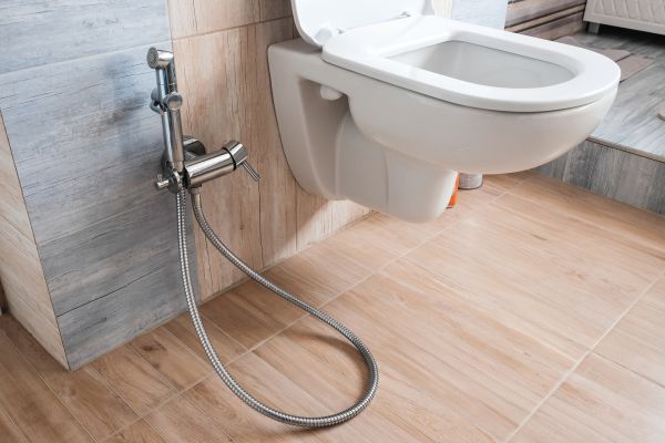 Bidet Service in Hudson