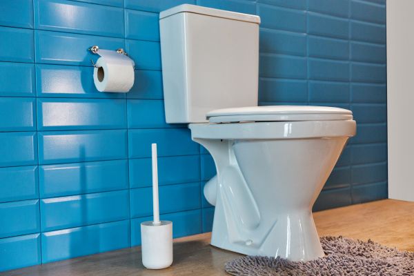 Toilet Tank Repair in Hudson